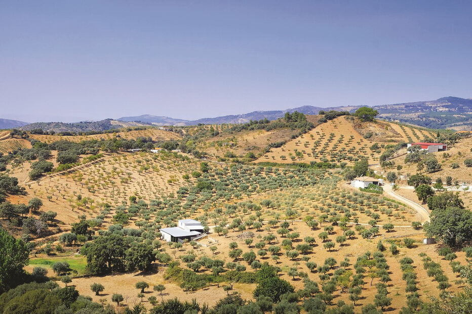 Vista panorâmica dos vestígios do Castelo dos Picões é muito procurada pelos terrenos férteis