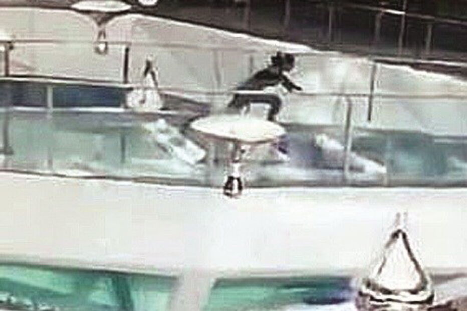 Mulher cai em tanque com tubarões, na China