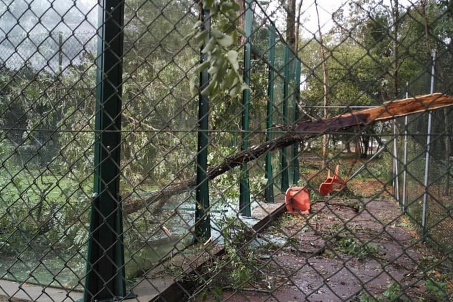 Ténis Clube Choupal em Coimbra