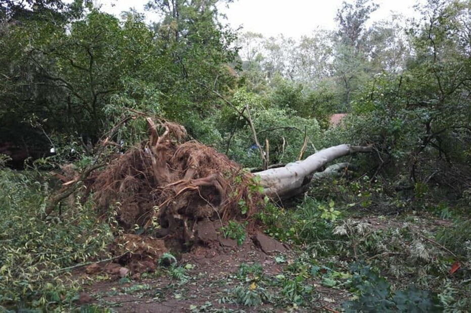 Ténis Clube Choupal em Coimbra