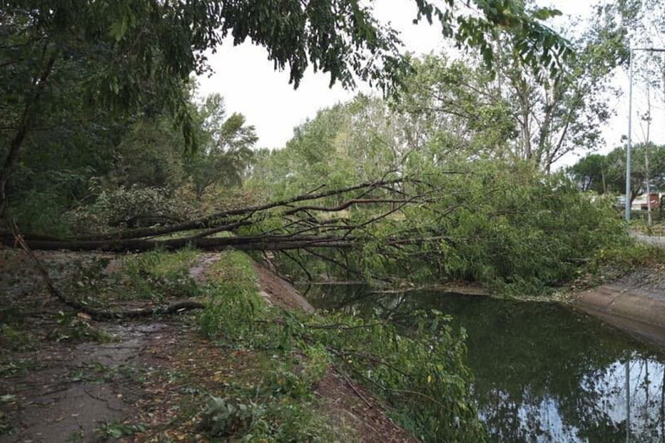 Ténis Clube Choupal em Coimbra