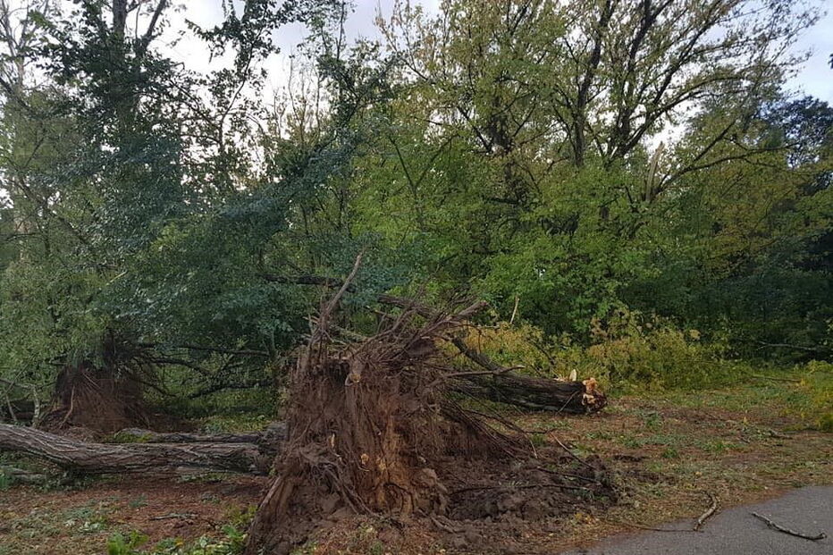 Ténis Clube Choupal em Coimbra