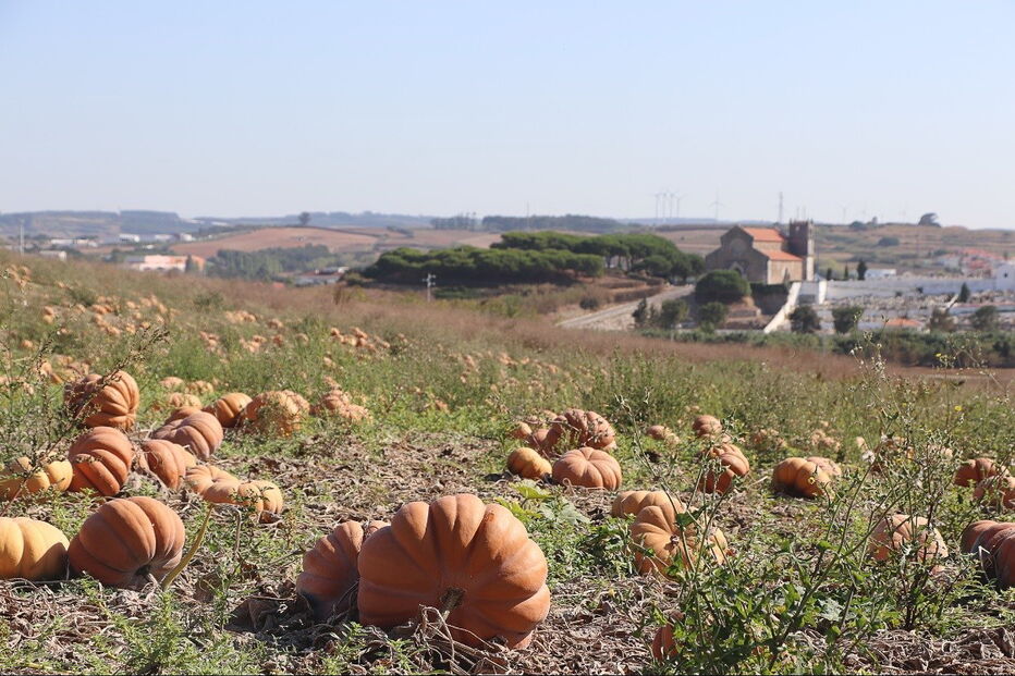 2018-10-18_11_10_17 5.jpg