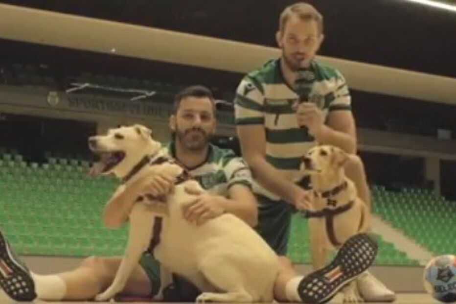 Sporting promove campanha de solidariedade e jogadores acabam a jogar com cães