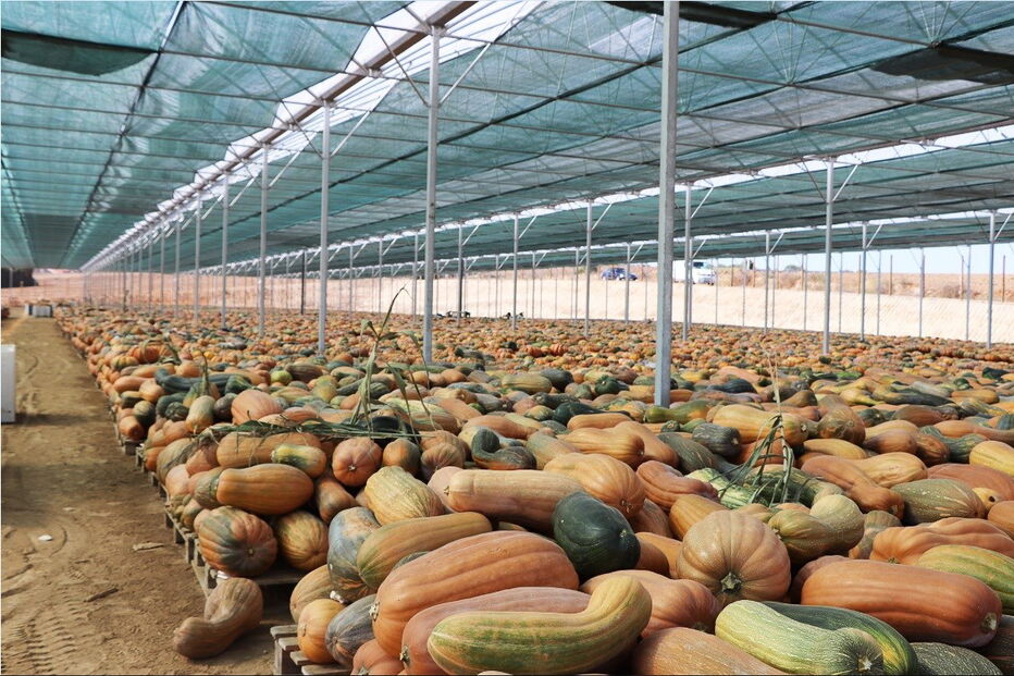 2018-10-19_14_57_09 3.jpg