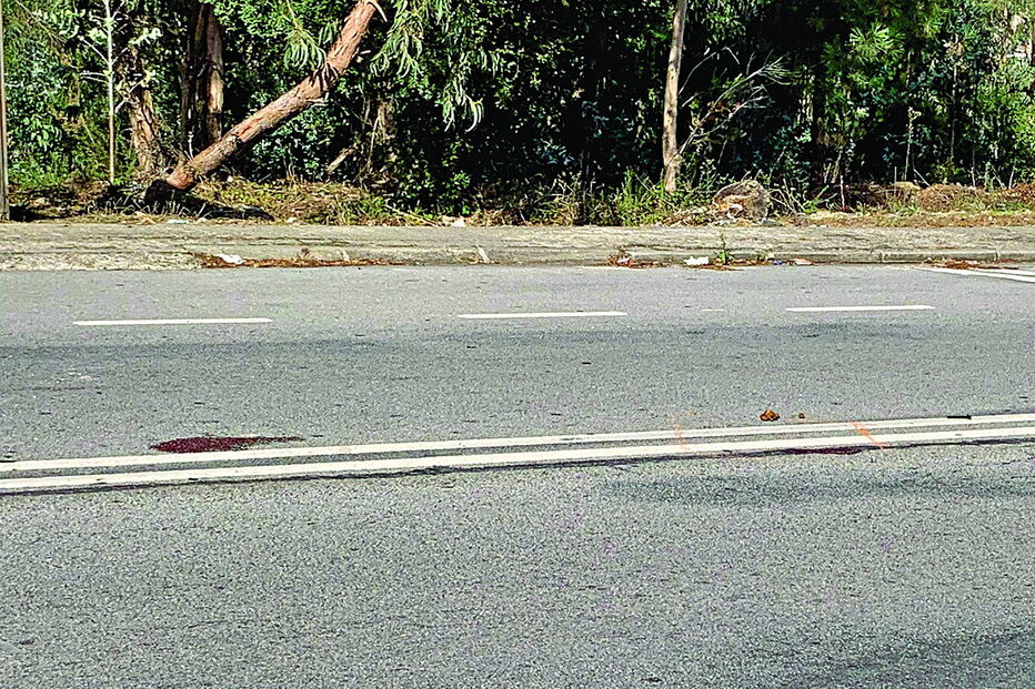 Idosa passeava a cadela, como era habitual, na rua D. Miguel 