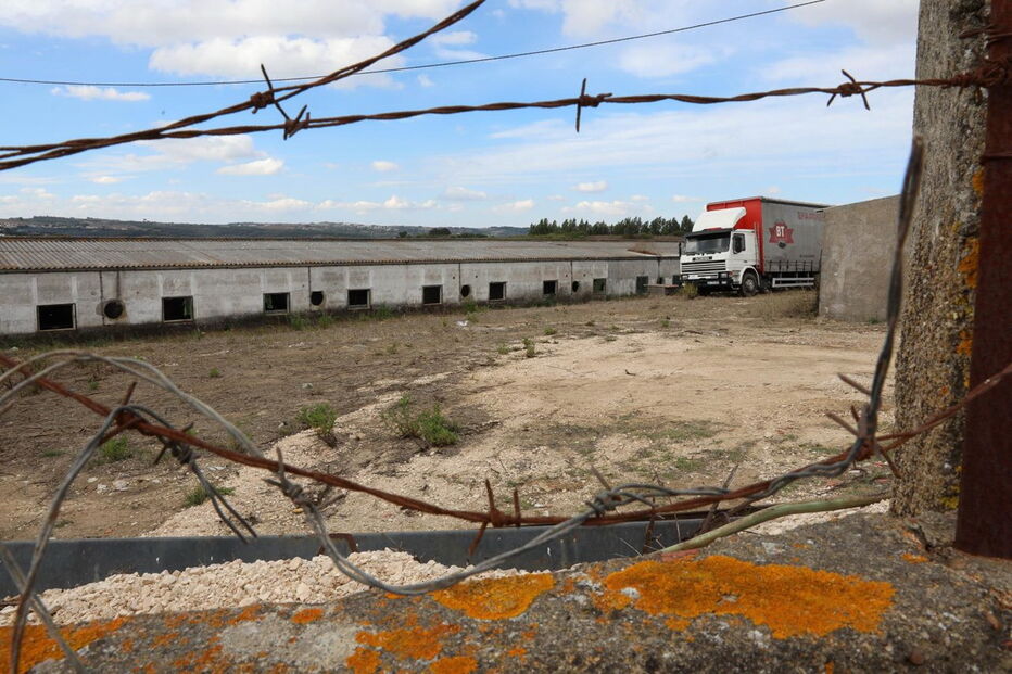 Cadáver só foi descoberto ontem. Bombeiros fizeram o transporte para a morgue do Hospital de Vila Franca de Xira 