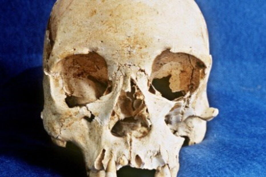 Crânio de 'Luzia' estava em exposição no Museu Nacional do Brasil