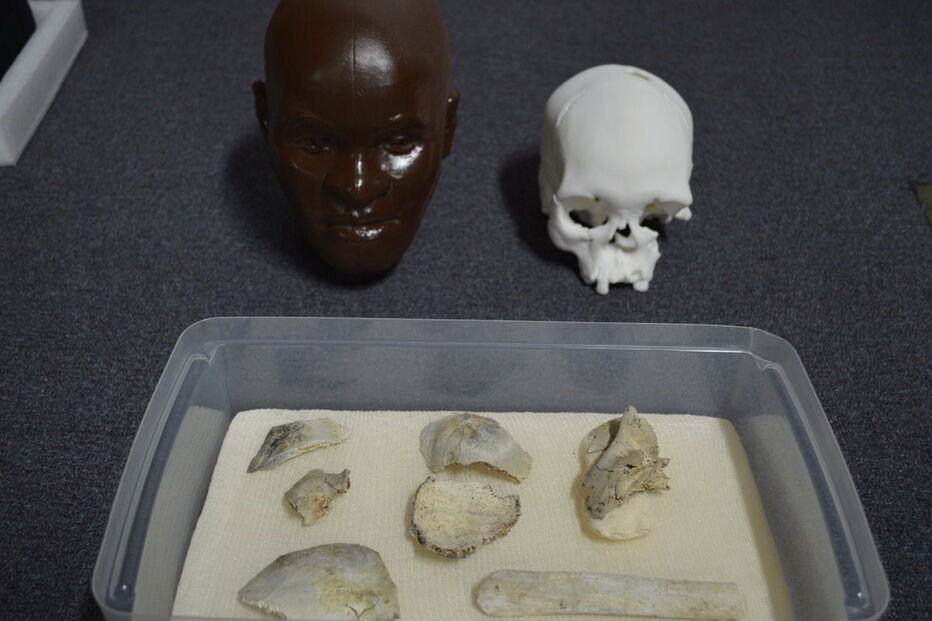 Crânio de 'Luzia' estava em exposição no Museu Nacional do Brasil	