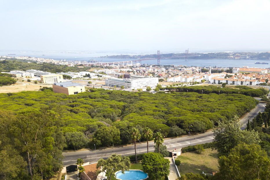 Residência oficial do presidente da Câmara de Lisboa disponível para alojamento local	