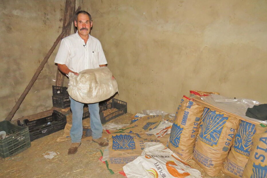 José Franco ficou com a casa destruída após o incêndio e foi viver para o local onde guarda a comida dos animais   
