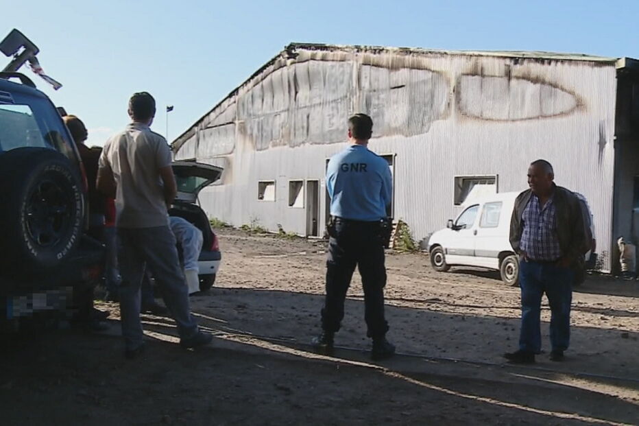 Incêndio em vacaria mata 500 vacas na Póvoa de Varzim