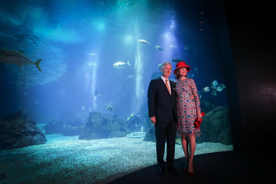 Reis da Bélgica visitam oceanário