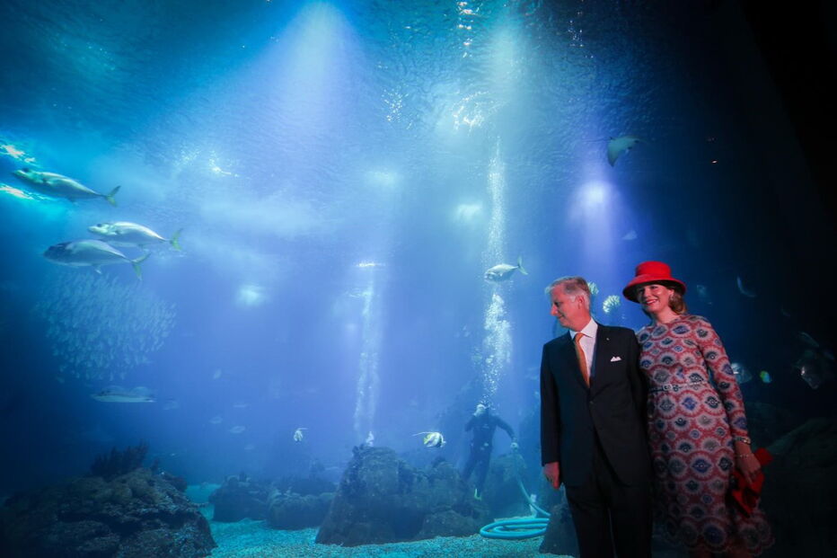 Reis da Bélgica visitam oceanário