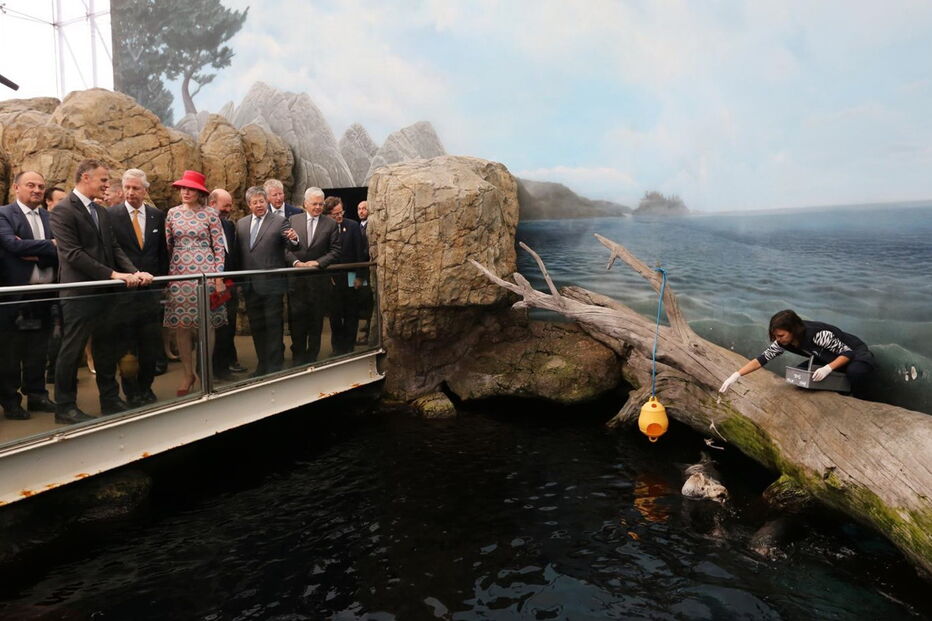 Reis da Bélgica visitam oceanário