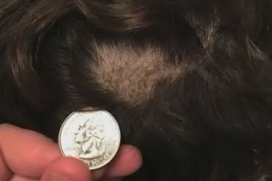 Alunos devastados após verem os seus cabelos rapados em teste a drogas na escola