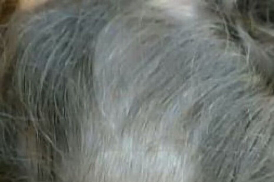 Alunos devastados após verem os seus cabelos rapados em teste a drogas na escola