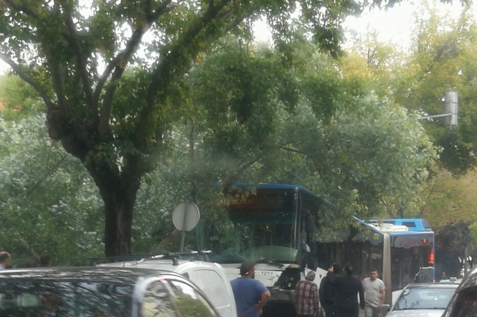 2018-10-25_18_21_07 IMG_20181025_173858_resized_20181025_061846599.jpg