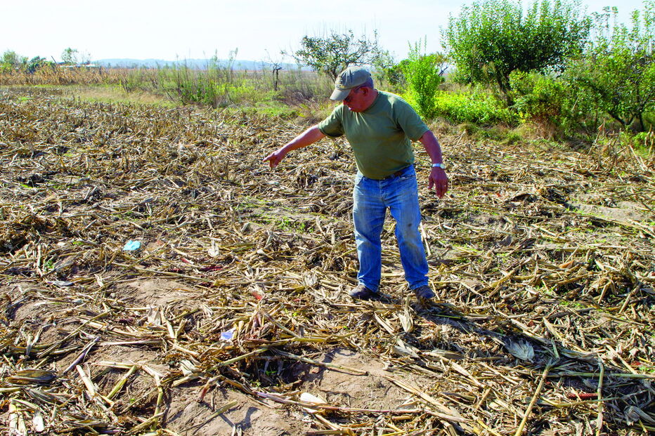 Silvino Marçal foi morto em campo de milho