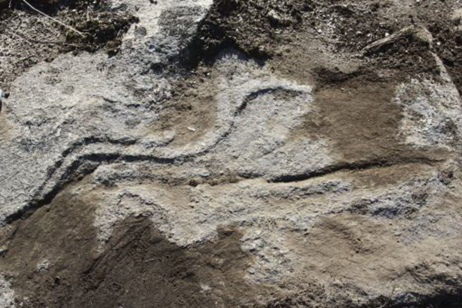 Descobertas mais gravuras rupestres no Vale do Côa