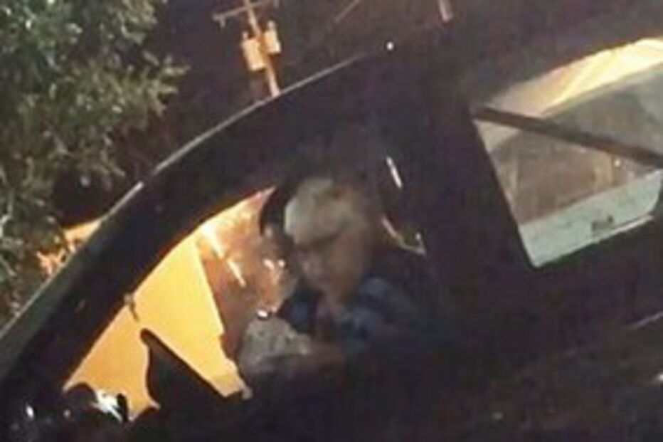 Cadela sai de casa a meio da noite para ir ao McDonalds pedir comida