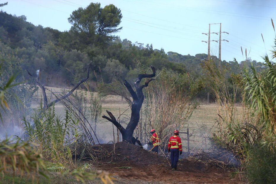 Incêndio perto de bomba de gasolina em Setúbal obriga ao corte da Estrada Nacional 10	