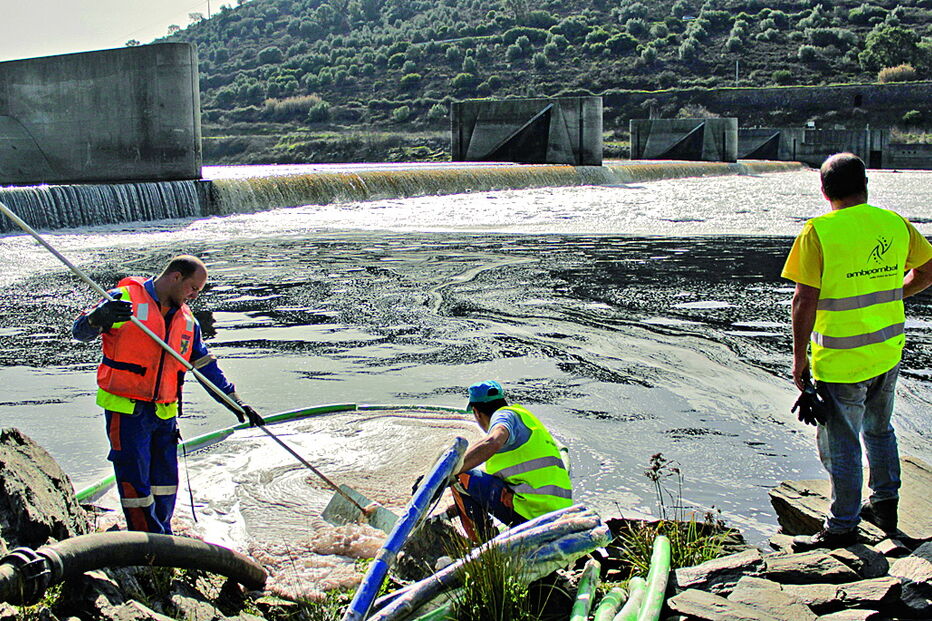 Em janeiro deste ano, o rio Tejo, junto ao açude de Abrantes, voltou a ficar coberto com um manto de espuma