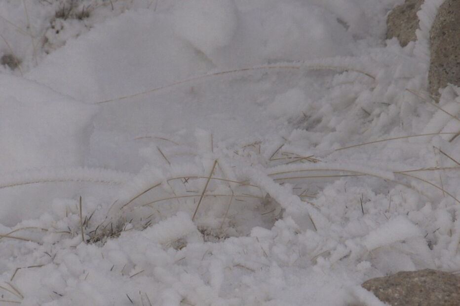 Neve, Serra da Estrela, Portugal