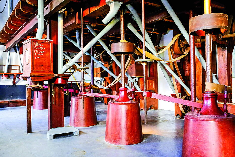 Museu do arroz honra a tradição agrícola da região de ponte de Sor 