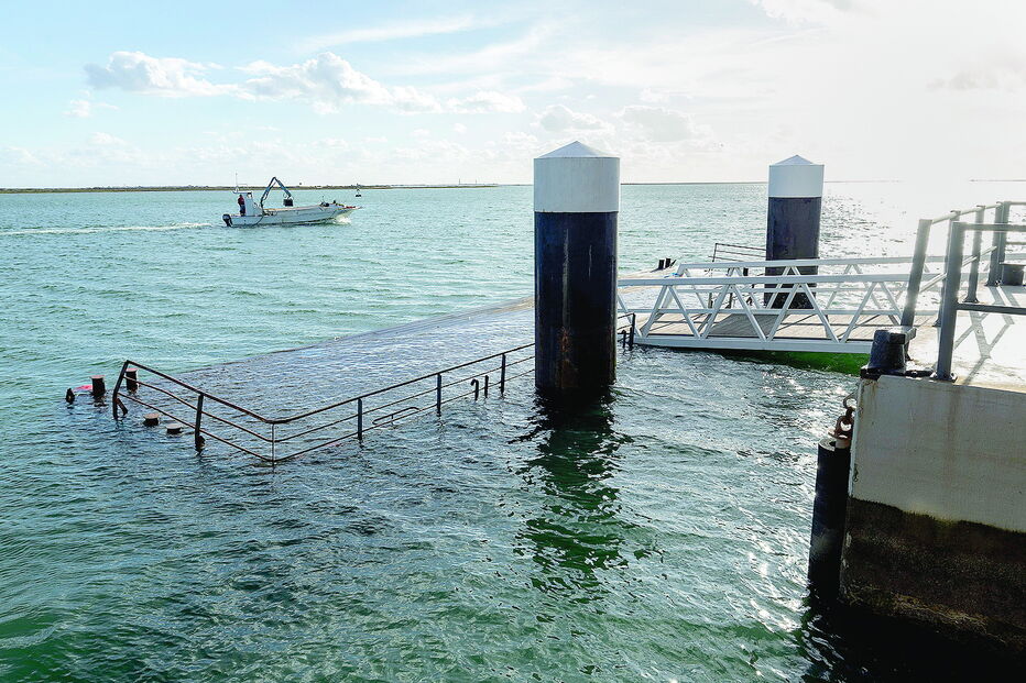 Situação torna-se mais visível quando sobe o nível da maré das águas da ria Formosa 