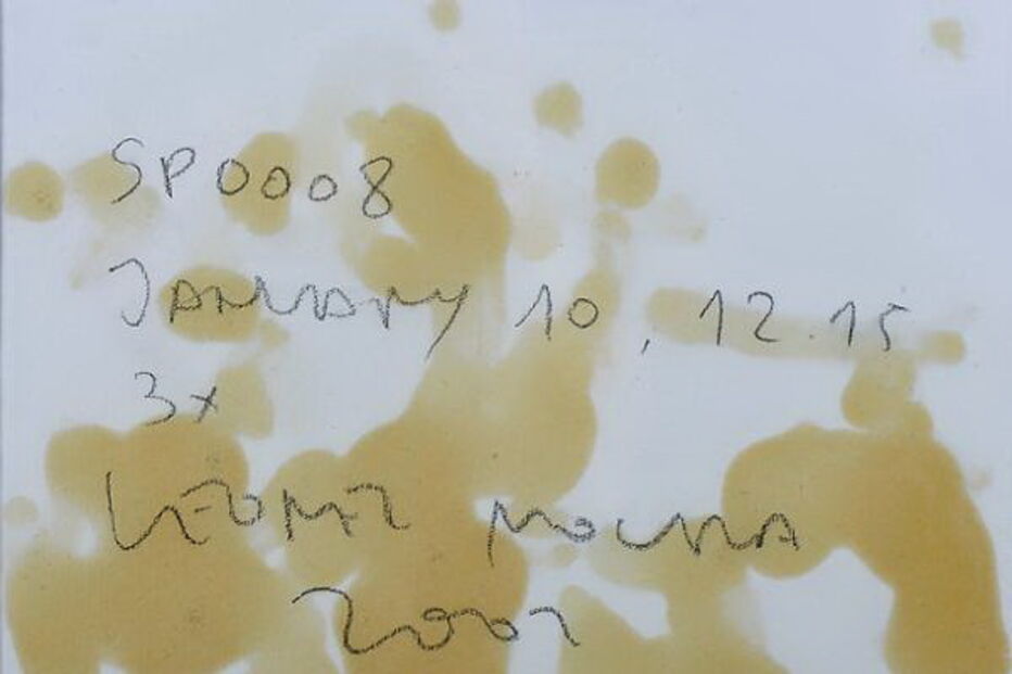 Pintura SP0008, feita por robot criado por Leonel Moura, foi vendida por 5 mil euros em leilão