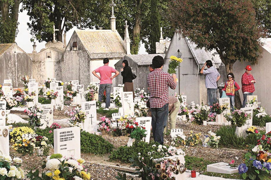 Portugueses gastam 50 milhões de euros em flores e velas    