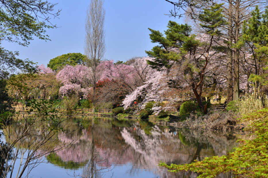 Parque Nacional de Yosemite, nos Estados Unidos da América