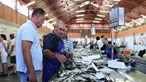 Peixe vendido no Algarve rende 33 milhões de euros