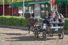 Feira Nacional do Cavalo, na Golegã