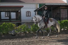 Feira Nacional do Cavalo, na Golegã