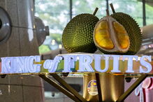 Durian é um fruto apreciado sobretudo no Oriente