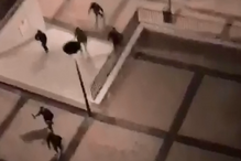 2018-11-08_10_09_08 confrontos.png