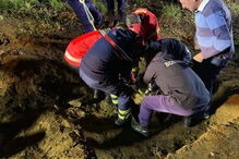 Cavalo resgatado de aqueduto em Arcos de Valdevez