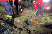 Cavalo resgatado de aqueduto em Arcos de Valdevez