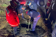 Cavalo resgatado de aqueduto em Arcos de Valdevez