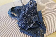 Caso de violação leva deputada a mostrar cuecas de renda no Parlamento