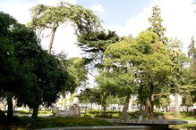 Agressão violenta ocorreu nos jardins da Cordoaria, no Porto