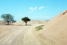 Local na pedreira abandonada onde foi encontrado o corpo de José Paulo Antunes Caetano