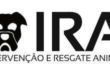 2018-11-16_09_04_53 ira.PNG