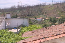 Pedrógão, Gabinete, Câmara de Pedrógão Grande