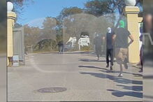 Agressores a deixar academia do Sporting após o ataque