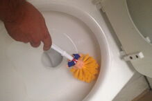 Piaçaba inspirado em Donald Trump