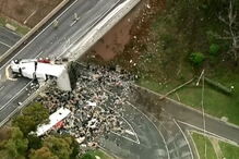 Camião que transportava frangos fica pendurado em ponte