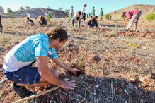 Ação de plantação conta com a participação de alunos das escolas, trabalhadores municipais e outros voluntários